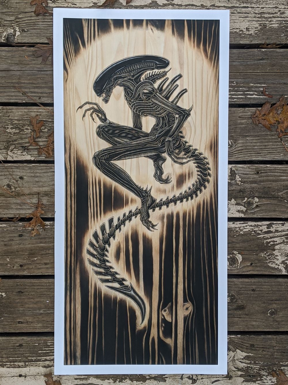 "Perfection" 16 x 36 in Giclee Print